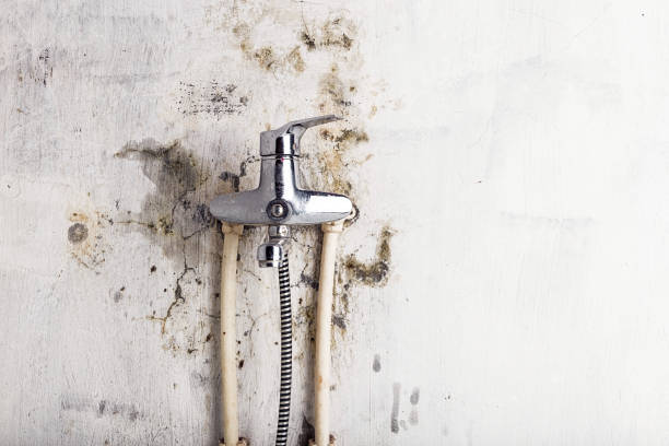 Best Office Mold Removal Services  in Fairview, CA