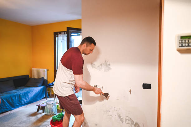 Best Fast Mold Removal  in Fairview, CA